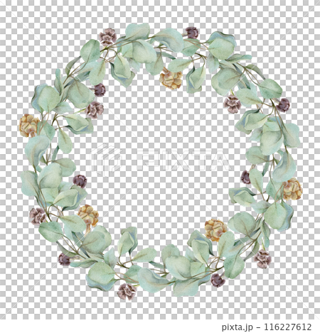 Eucalyptus laurel branches, leaves with cones. Watercolor hand drawn illustration, wreath chaplet crown frame isolated on white. Xmas cards, happy new year festive, noel navidad. Florist wedding gifts Eucalyptus laurel branches, leaves with cones. Watercolor hand drawn illustration, wreath chaplet crown frame isolated on white. Xmas cards, happy new year festive, noel navidad. Florist wedding gifts 116227612