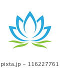 Beauty lotus logo images 116227761
