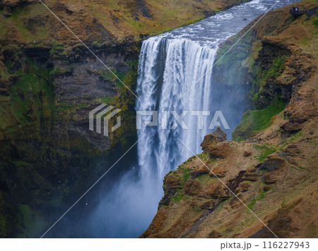 Impressively beautiful nature of Iceland during sunset. Skogafoss waterfall is one famous natural landmark and travel destination place of Iceland. Tourists ride horses near famouse waterfall. Impressively beautiful nature of Iceland during sunset. Skogafoss waterfall is one famous natural landmark and travel destination place of Iceland. Tourists ride horses near famouse waterfall. 116227943