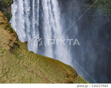 Impressively beautiful nature of Iceland during sunset. Skogafoss waterfall is one famous natural landmark and travel destination place of Iceland. Tourists ride horses near famouse waterfall. Impressively beautiful nature of Iceland during sunset. Skogafoss waterfall is one famous natural landmark and travel destination place of Iceland. Tourists ride horses near famouse waterfall. 116227985