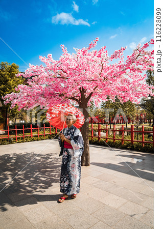 Asian girl in kimono and umbrella in Japanese theme park Hinoki Land in Chai Prakan District, Chiang Asian girl in kimono and umbrella in Japanese theme park Hinoki Land in Chai Prakan District, Chiang 116228099