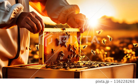 Close-up of a Beekeeper Collecting Honey From a Bee Honeycomb - Generative Ai Close-up of a Beekeeper Collecting Honey From a Bee Honeycomb - Generative Ai 116228268