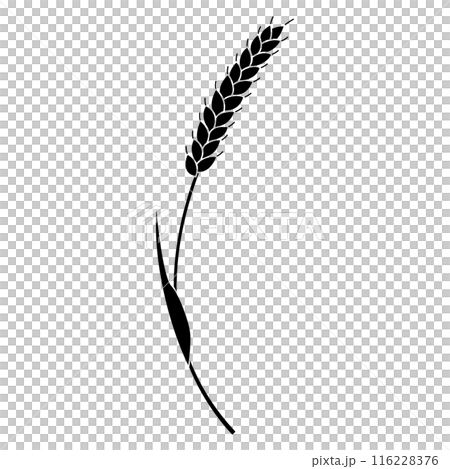Simple wheat silhouette illustration, icon 116228376