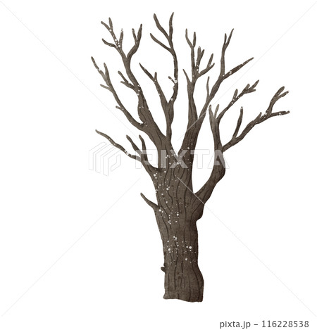 Watercolor Hand drawn illustration a haunted tree isolated spooky halloween element Watercolor Hand drawn illustration a haunted tree isolated spooky halloween element 116228538