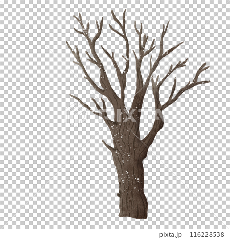 Watercolor Hand drawn illustration a haunted tree isolated spooky halloween element Watercolor Hand drawn illustration a haunted tree isolated spooky halloween element 116228538