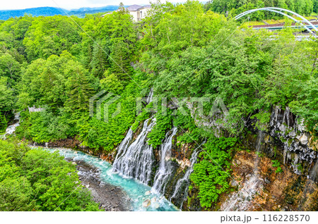 北海道美瑛の白ひげの滝 北海道美瑛の白ひげの滝 116228570
