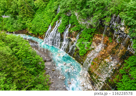 北海道美瑛の白ひげの滝 116228578