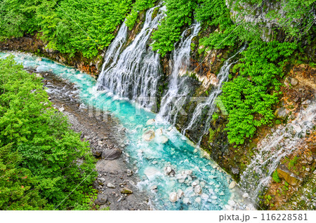 北海道美瑛の白ひげの滝 北海道美瑛の白ひげの滝 116228581