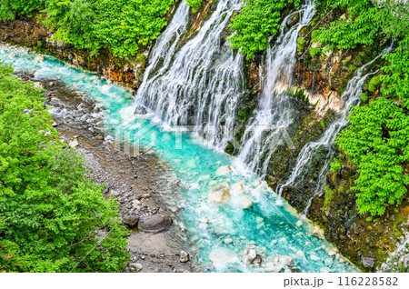北海道美瑛の白ひげの滝 北海道美瑛の白ひげの滝 116228582