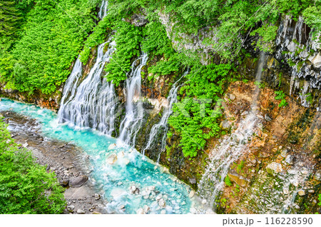 北海道美瑛の白ひげの滝 116228590
