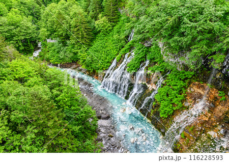 北海道美瑛の白ひげの滝 116228593