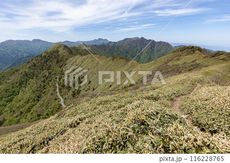 伊予富士から見た石鎚山、東黒森方面の眺め 116228765