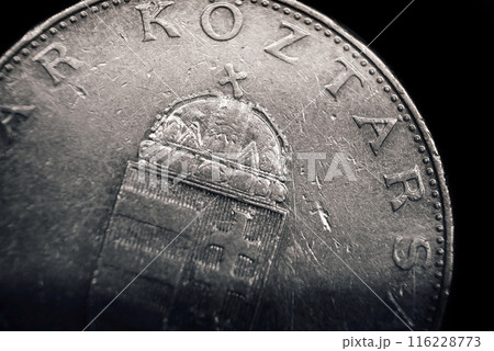 Ten Hungarian Forint coin. Macro 116228773