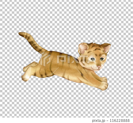 Cute kawaii tiger running and jumping. Watercolor hand drawn illustration african animal isolated on a white background. Cartoon kids print minimalist scandinavian style. 116228888