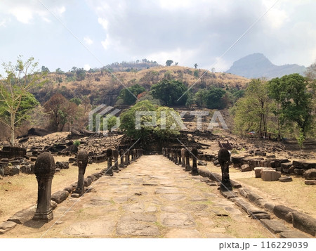 ラオスの世界遺産「ワット・プー」リンガの参道 116229039