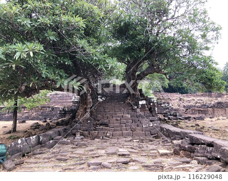 ラオスの世界遺産「ワット・プー」 ラオスの世界遺産「ワット・プー」 116229048