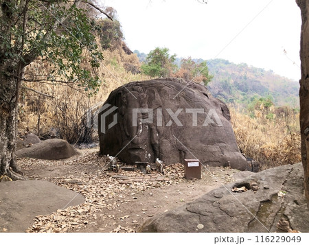 ラオスの世界遺産「ワット・プー」象の彫られた岩 ラオスの世界遺産「ワット・プー」象の彫られた岩 116229049