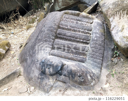 ラオスの世界遺産「ワット・プー」ヘビの彫られた岩 116229051