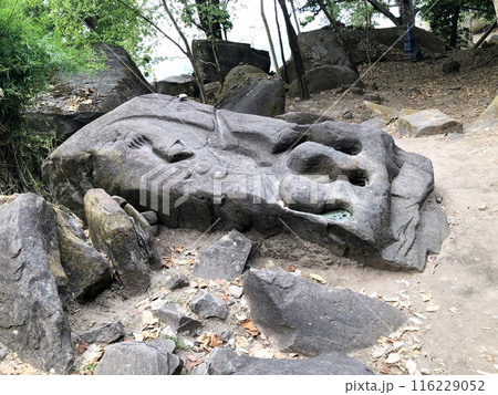 ラオスの世界遺産「ワット・プー」ワニの彫られた岩 ラオスの世界遺産「ワット・プー」ワニの彫られた岩 116229052