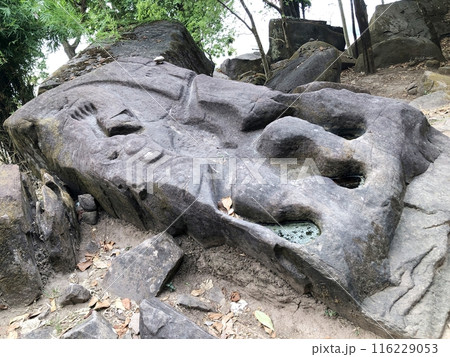 ラオスの世界遺産「ワット・プー」ワニの彫られた岩 ラオスの世界遺産「ワット・プー」ワニの彫られた岩 116229053
