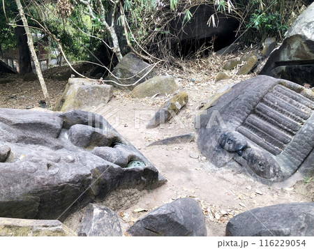 ラオスの世界遺産「ワット・プー」ワニとヘビの岩 116229054