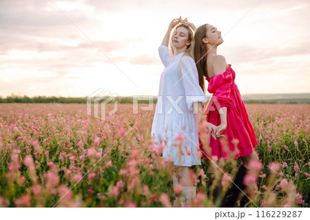 Two Beautiful woman in a field. Nature, fashion, vacation and lifestyle. Two Beautiful woman in a field. Nature, fashion, vacation and lifestyle. 116229287