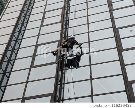 ビルのガラス窓を掃除する作業員 ビルのガラス窓を掃除する作業員 116229452