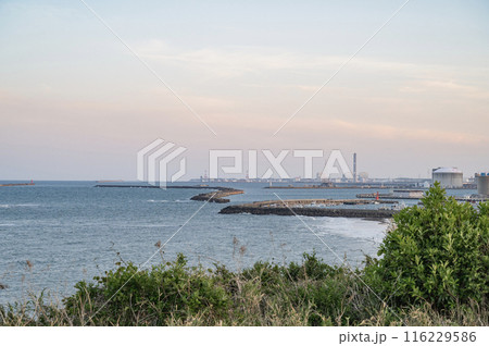 茨城　古房地公園から望む日立の海岸 116229586