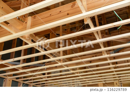 新築住宅の建築現場(内装基礎工事) 新築住宅の建築現場(内装基礎工事) 116229789