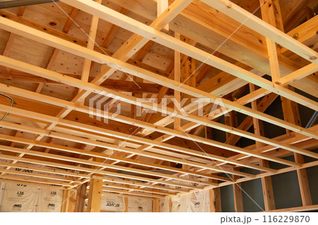 新築住宅の建築現場（内装基礎工事） 116229870