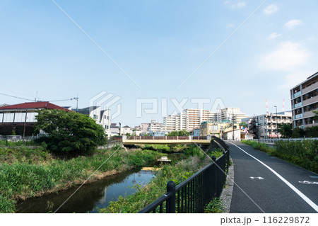 野川の景色 品川通りの大町橋 夏晴れの青空 東京都調布市 野川の景色 品川通りの大町橋 夏晴れの青空 東京都調布市 116229872