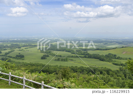 北海道 十勝平野 清水円山展望台からの眺め 北海道 十勝平野 清水円山展望台からの眺め 116229915