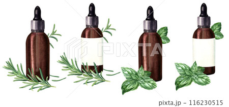 A set of compositions with rosemary, basil and brown glass bottles with dropper for essential, cosmetic oil. Hand drawn watercolor illustration isolated on white. For clip art template label 116230515