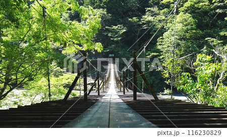 寸又峡_夢のつり橋 寸又峡_夢のつり橋 116230829