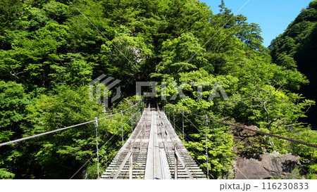 寸又峡_夢のつり橋 寸又峡_夢のつり橋 116230833