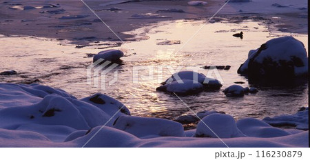 北海道知床岬海岸夕景 北海道知床岬海岸夕景 116230879