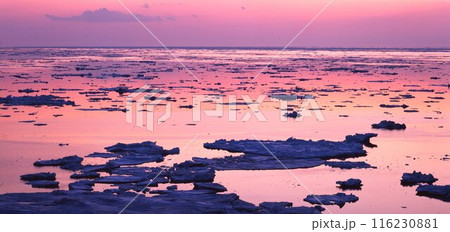 北海道温根別夕焼けに染まるオホーツク氷海 北海道温根別夕焼けに染まるオホーツク氷海 116230881