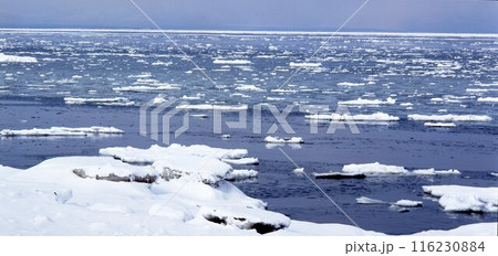 北海道イクシナオホーツク氷海　　　　　　　　　 116230884
