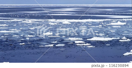 北海道イクシナオホーツク氷海接岸　　　　　　　　　 116230894