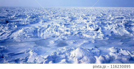 北海道オホーツク海を埋め尽くす流氷 北海道オホーツク海を埋め尽くす流氷 116230895