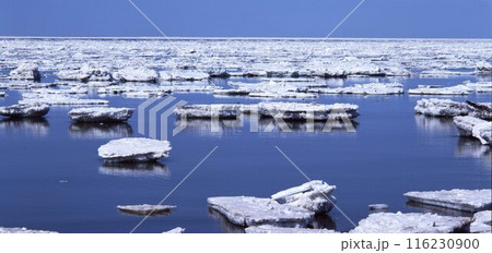 北海道オホーツク氷海の3月 北海道オホーツク氷海の3月 116230900