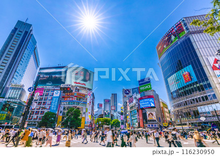 日本の東京都市景観 希望の光…インバウンド復活…賑わう渋谷スクランブル交差点などを望む＝6月19日 116230950