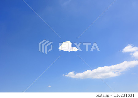 大空を飛ぶ紙飛行機 116231031