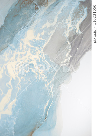 A close-up abstract painting featuring a swirling blend of light blue and gray watercolor. Delicate white veins trace through the paint, creating a dynamic and ethereal effect A close-up abstract painting featuring a swirling blend of light blue and gray watercolor. Delicate white veins trace through the paint, creating a dynamic and ethereal effect 116231050