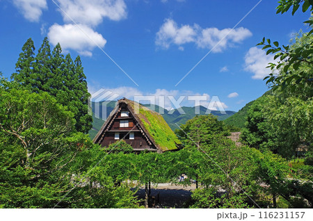 下呂温泉合掌村 116231157