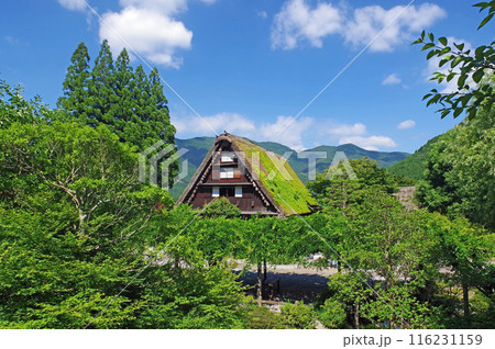 下呂温泉合掌村 下呂温泉合掌村 116231159