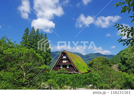 下呂温泉合掌村 下呂温泉合掌村 116231161