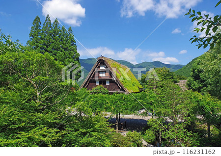 下呂温泉合掌村 下呂温泉合掌村 116231162