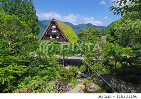 下呂温泉合掌村 下呂温泉合掌村 116231166