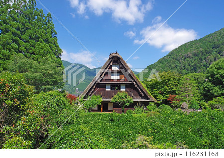 下呂温泉合掌村 下呂温泉合掌村 116231168
